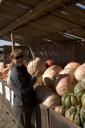 4_annwithpumpkin_1_crw_1617.jpg
