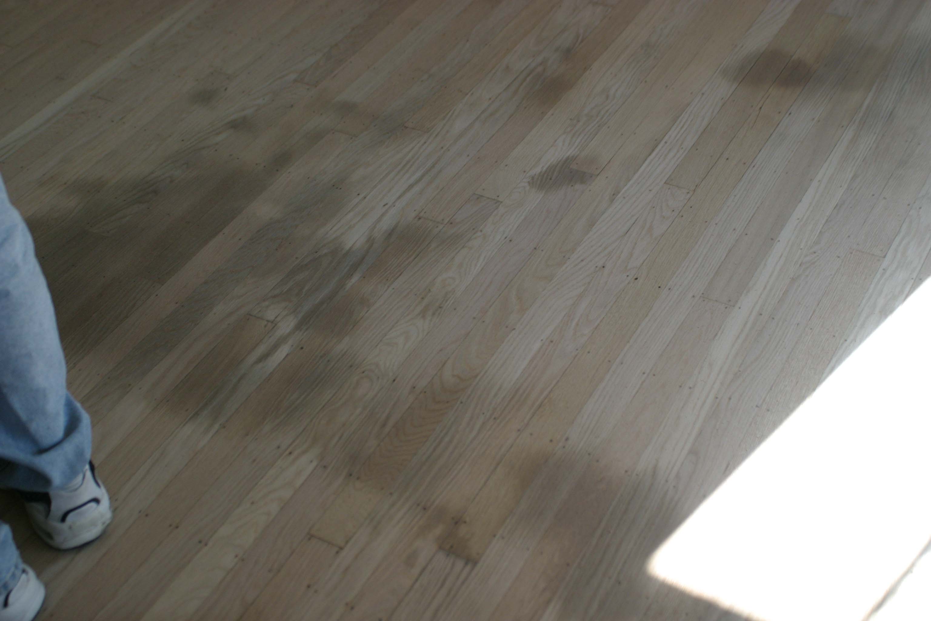 Floor Refinishing - 1 - Stains Floor Refinishing - 1 - Stains