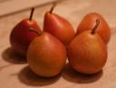 Seckel Pears