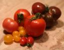 Tomato - Tomahto
